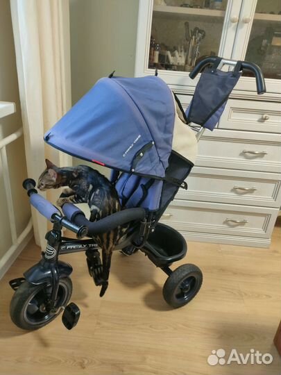 Детский трехколесный велосипед синий