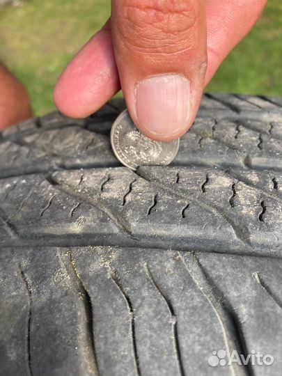 Кама евро 365