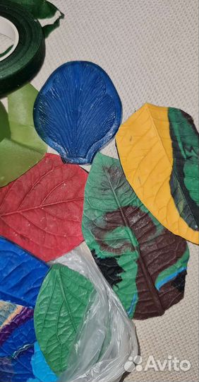 Молды и ленты