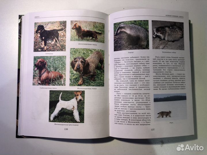 Охота. Рыбалка. Энциклопедия Фокин С.Ю