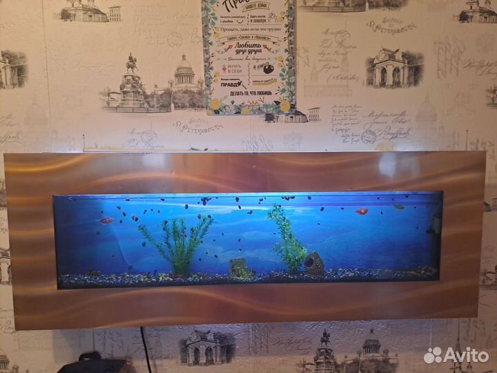 Настенный аквариум