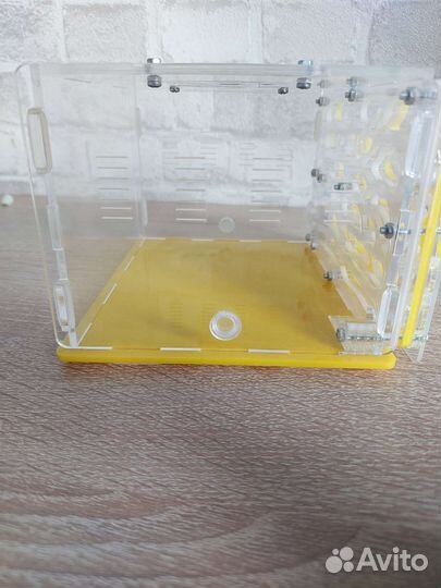 Муравьиная ферма