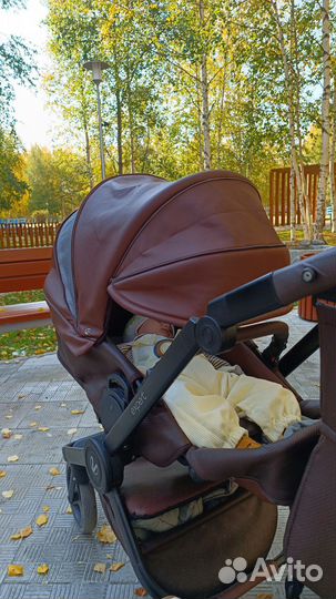 Коляска verdi expert 3 в 1