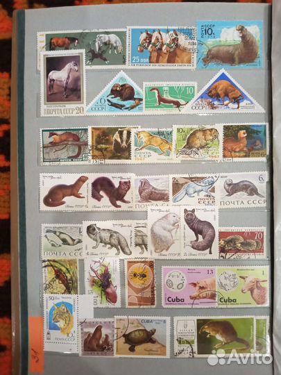 Почтовые марки Фауна