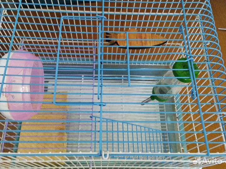 Клетка для джунгарика