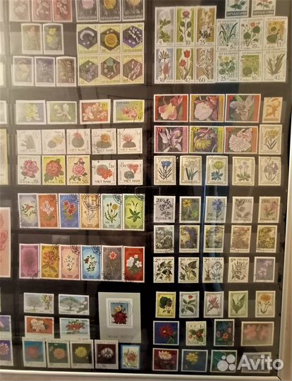 Стенд. Почтовые марки. Флора