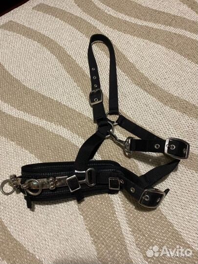 Недоуздок, капцунг, ушки, бинты