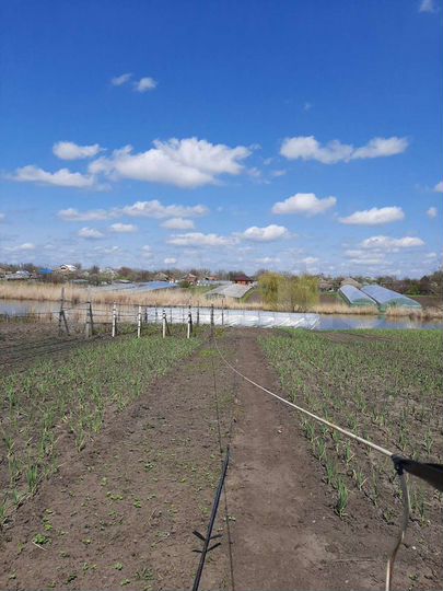 Дом 85 м² на участке 25 сот.