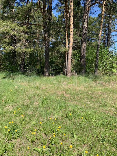 Участок 11,8 сот. (ИЖС)