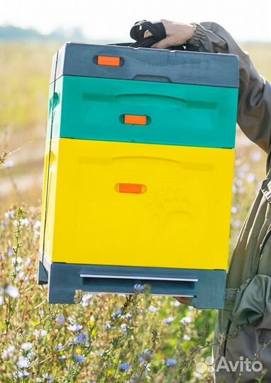 Ульи из ппу Медведь Дадан на 10 рамок