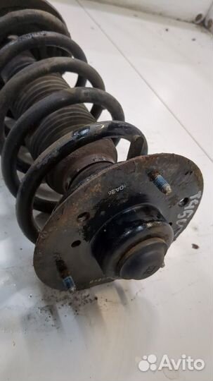 Амортизатор подвески правый передний Chevrolet Captiva, 2010