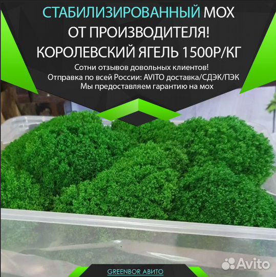 Королевские кочки мох для стен премиум