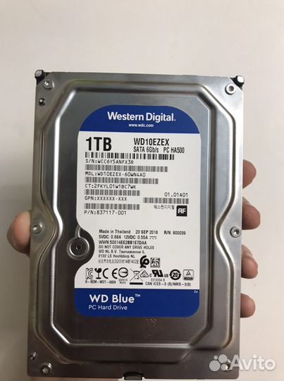 Жесткий диск wd blue 1 терабайт