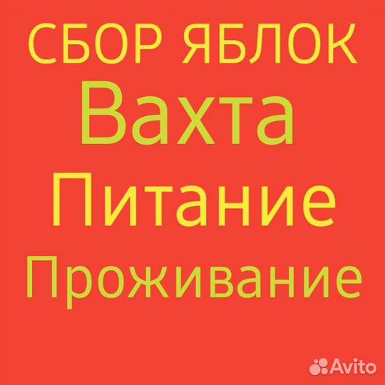 Разнорабочие - Бригады на сбор яблок