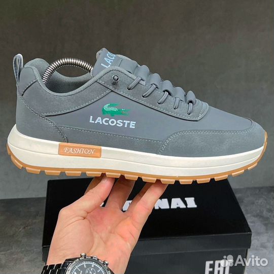 Кроссовки мужские(lacoste) 40-45