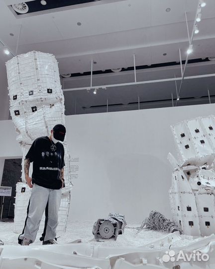 Футболка rammstein