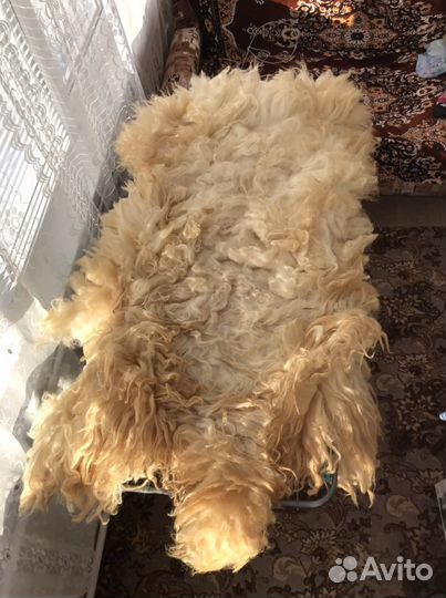 Козлиная шкура