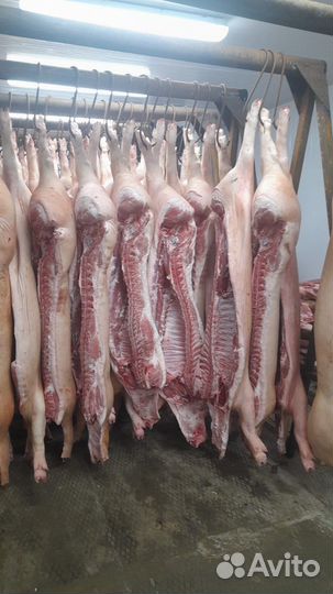 Мясо свинина полутуши