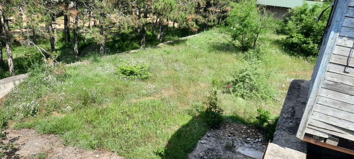 Участок 7,2 сот. (СНТ, ДНП)