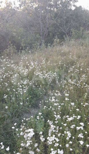 Участок 7 сот. (ИЖС)