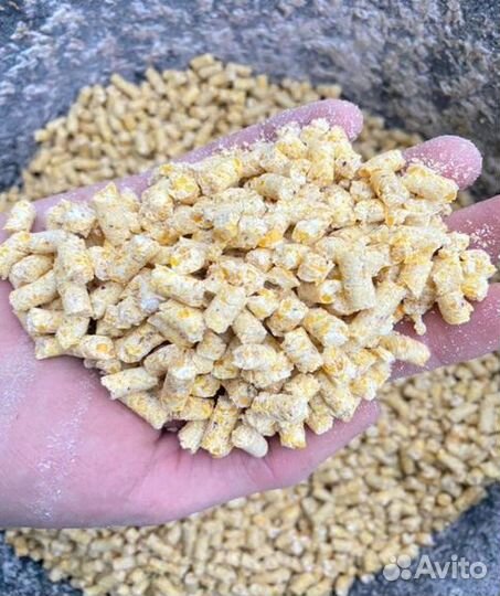 Кукуруза в гранулах