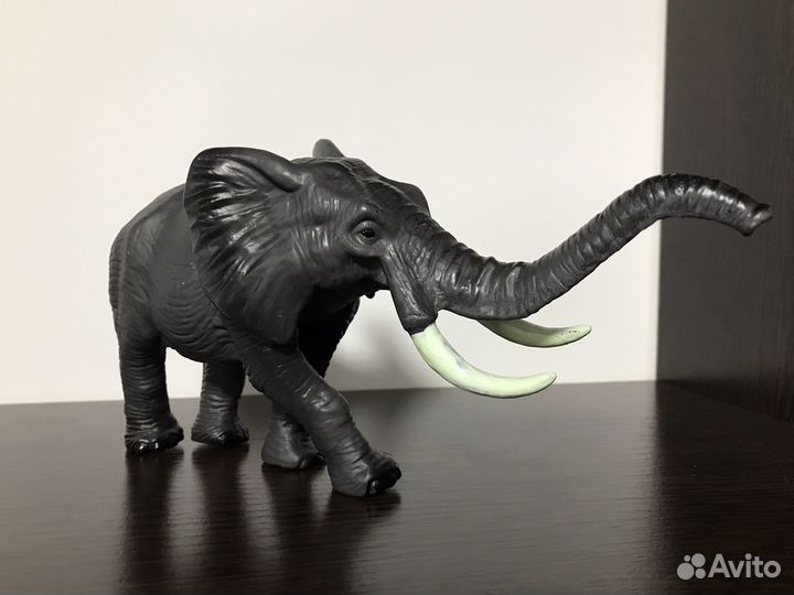 Слон Бесплатно