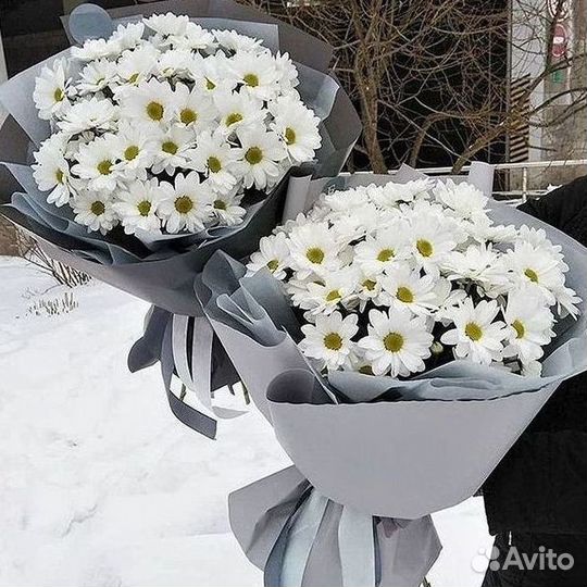 Доставка букетов и цветов. Хризантема