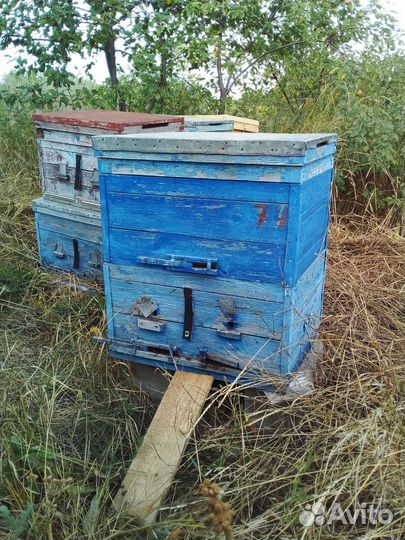 Ульи для пчел бу