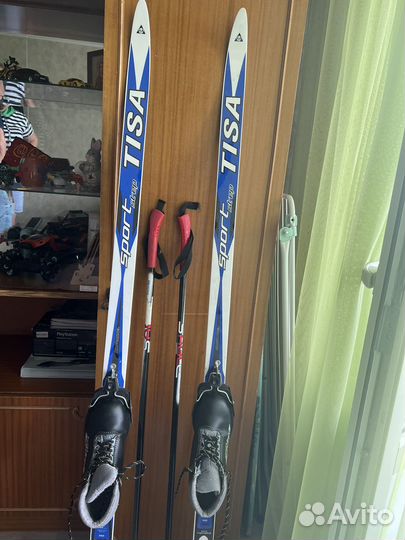 Беговые лыжи