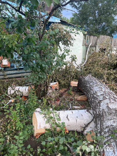 Бревна бесплатно