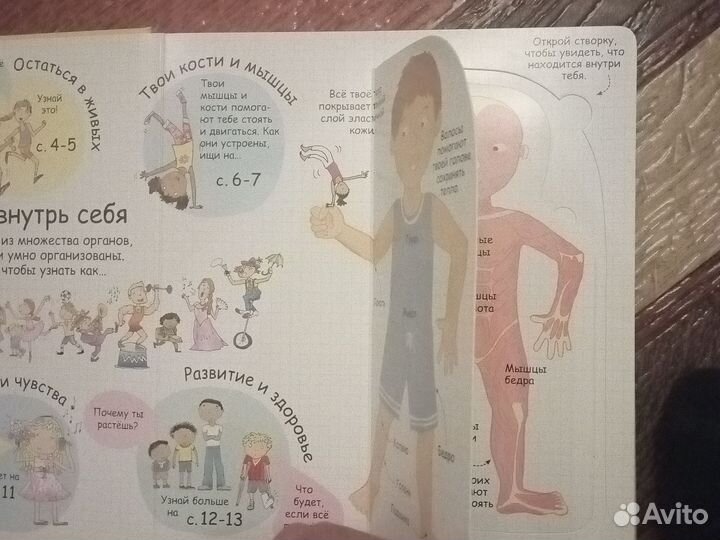 Секреты человека