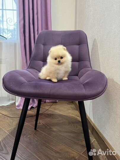 Мини куколка