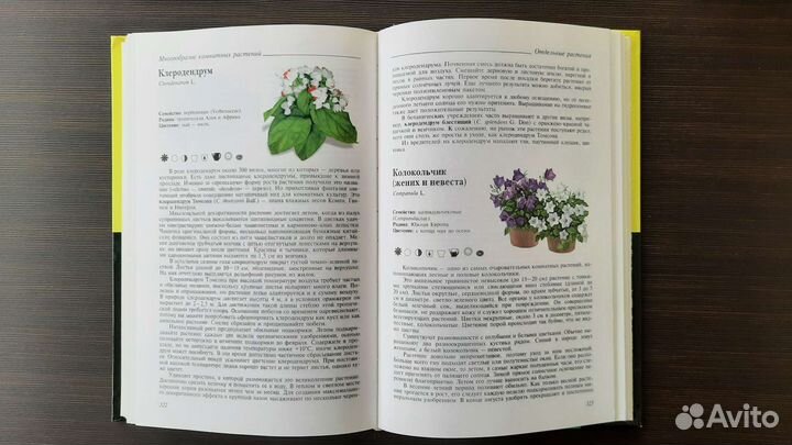 Энциклопедия комнатных растений