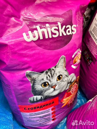 Корм вискас, whiskas 5кг