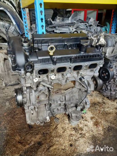 Форд фокус 3 двигатель 2л