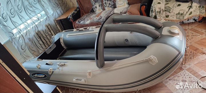 Лодка с мотором