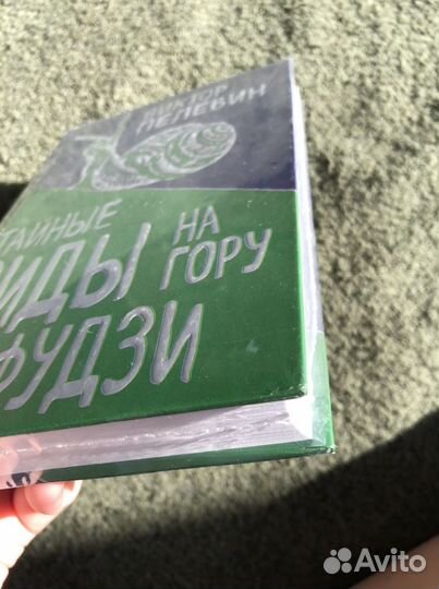 «Тайные виды на гору Фудзи», Виктор Пелевин