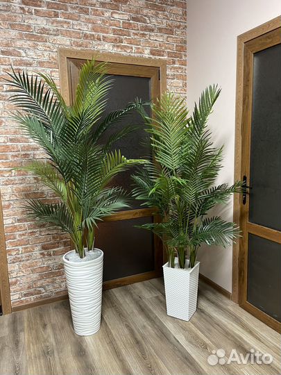 Искусственные пальмы
