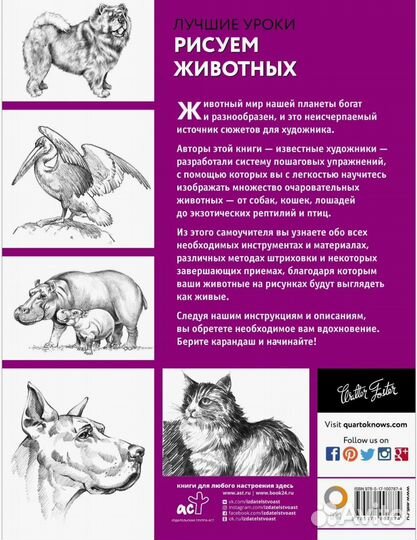 Книга Рисуем животных Тавонатти М. мягкая обложка