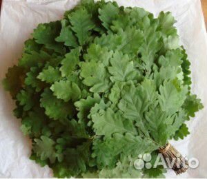 Веники дубовые, березовые, пихтовые и др