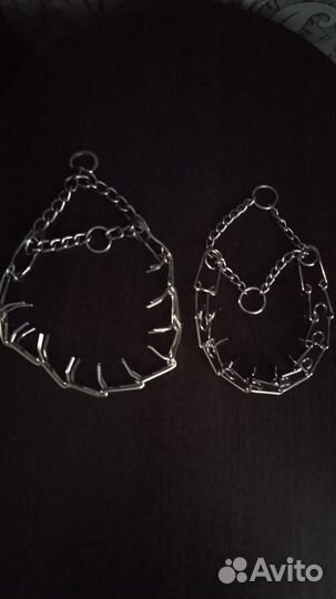 Строгий ошейник для собак