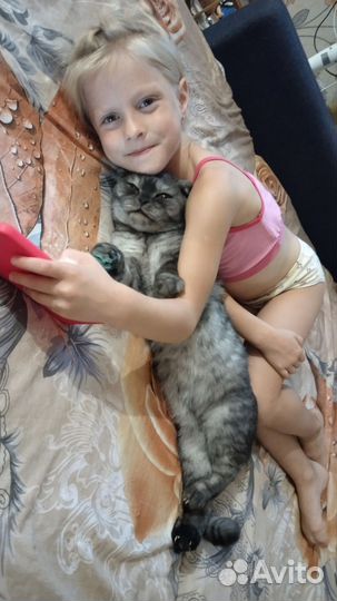 Кошечка на вязку