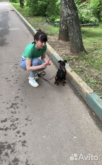 Зоопсихолог / Кинолог / Занятия в группе