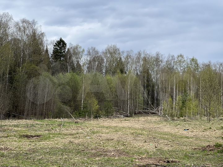 Участок 10 сот. (СНТ, ДНП)