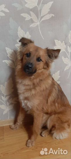 Мальчик.В очень добрые ручки