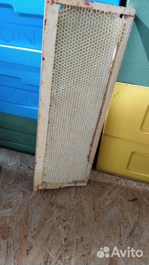 Сушь пчелиная, рамки с сушью