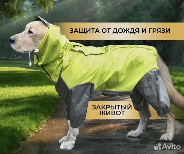 Дождевик для крупной собаки