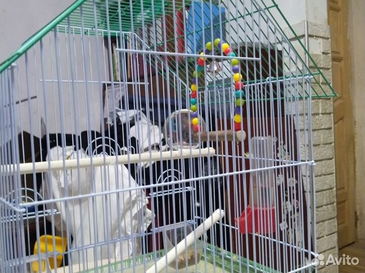 Клетка для волнистого попугая