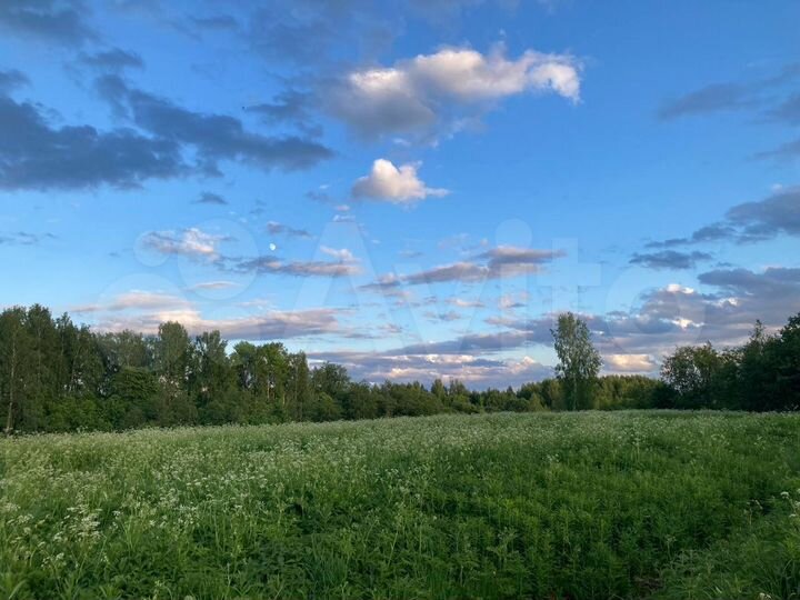 Участок 12 сот. (СНТ, ДНП)