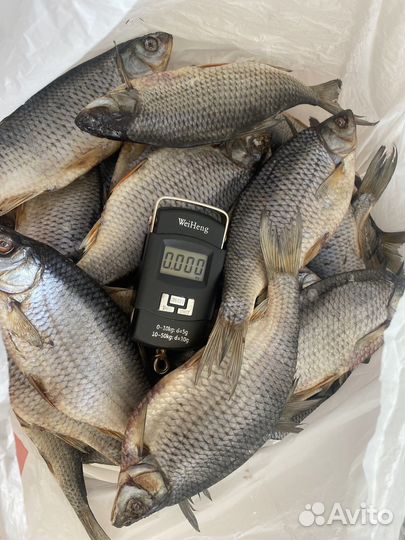 Лещ свежемороженый, вяленая плотва